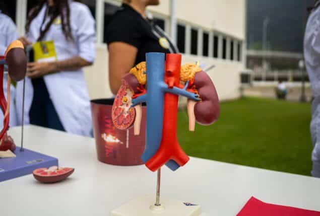 Material de Oficina Saúde - Mochilão 2024