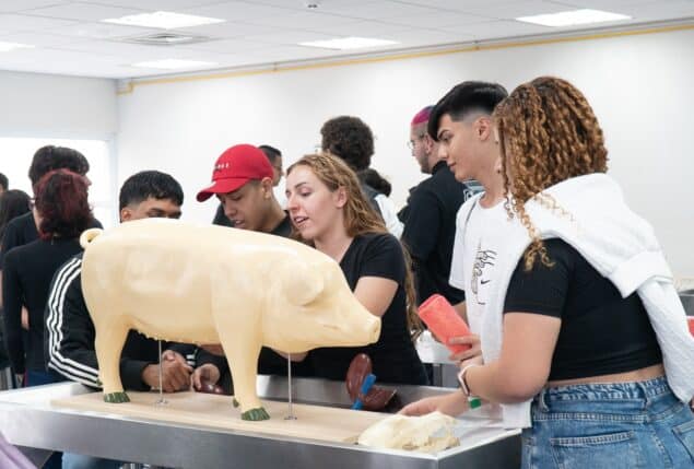 Oficina de Veterinária - Mochilão 2024